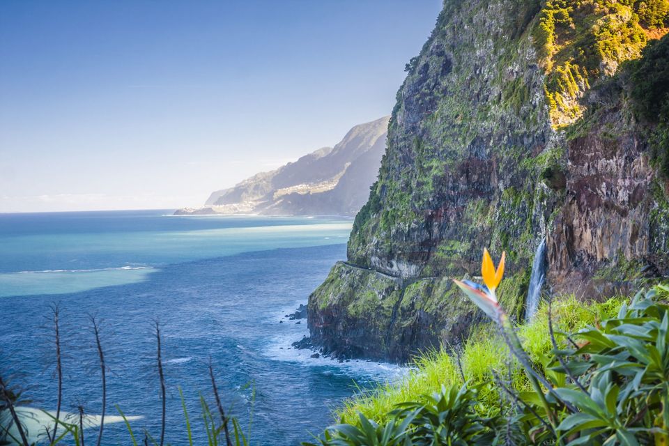 Madeira Holidays Holidays to Madeira in 2024/2025 Mercury Holidays