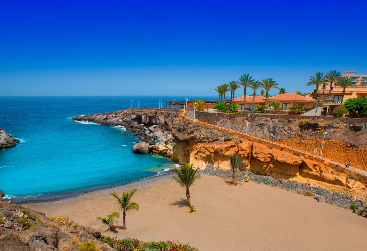 Playa Paraiso Holidays 2023/2024 Tenerife Mercury Holidays